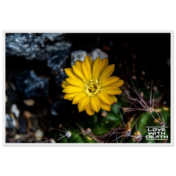 1b237823-a0ab-4e8e-a2f6-4ef9e2cec8c3