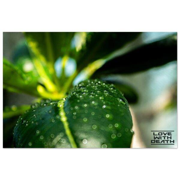 371e2fe1-28f5-4b3d-b1ff-fa4b17d75d60