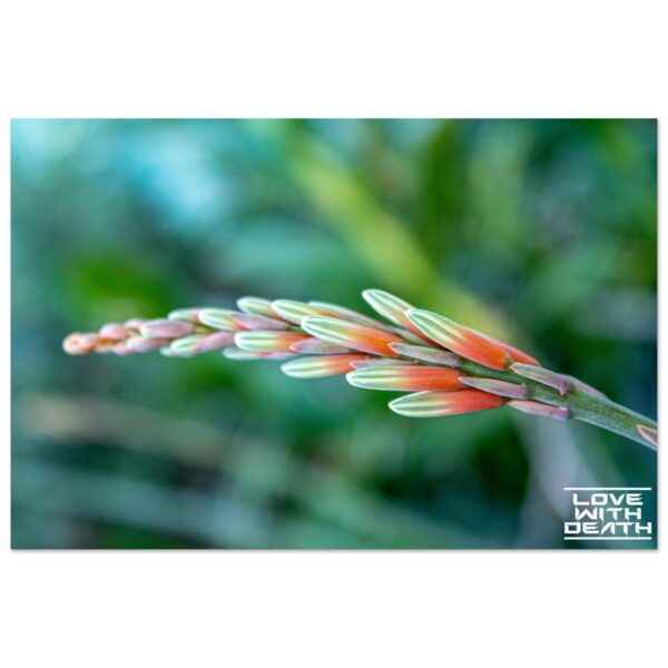 50991be5-cb7f-461f-a57b-d3c488d8ea75