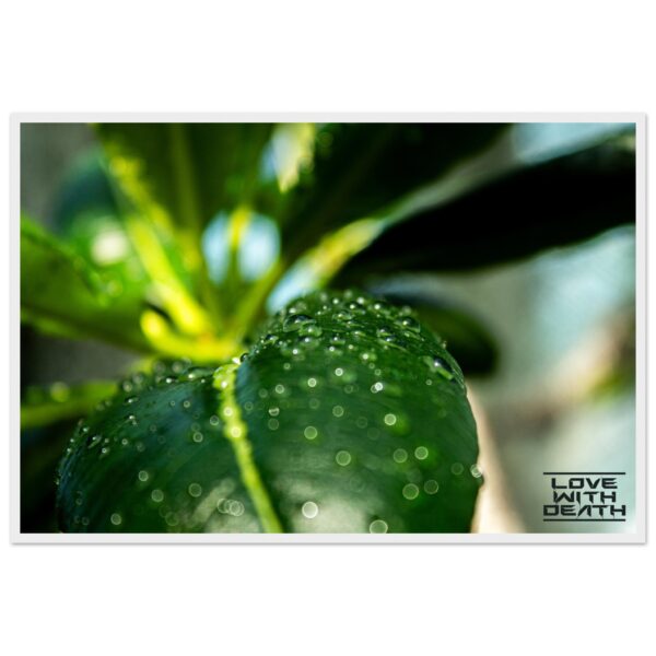 6cdbeb0d-ec5e-4f03-8977-366820c61fa2