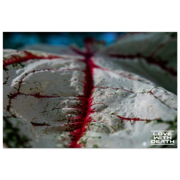 720600d6-e51e-41b3-9956-3ed3022b4f34