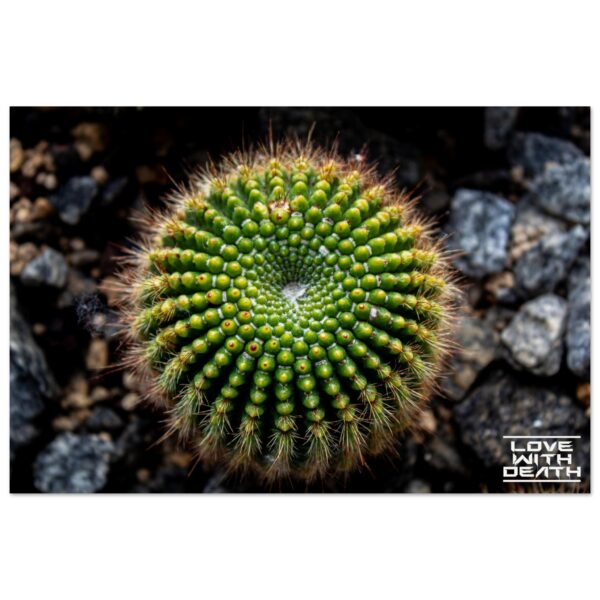 834112a5-ece4-4a92-9d89-fb04a876df02