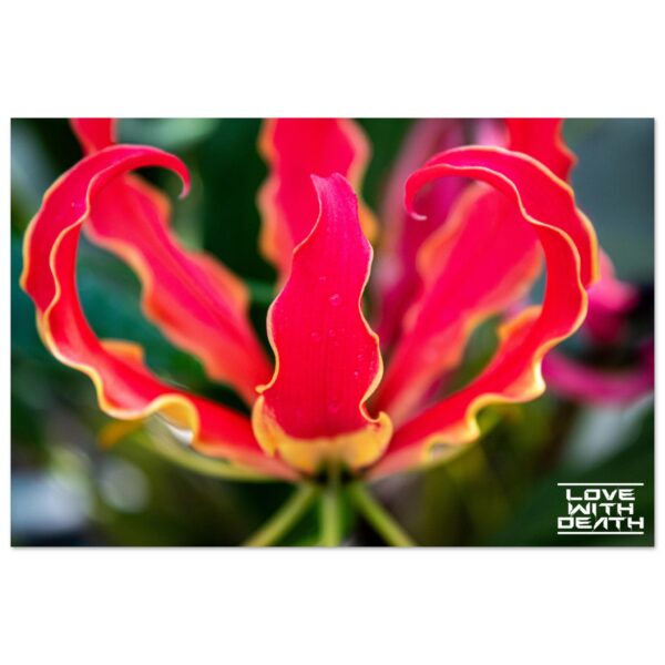 b349f7d6-30e3-4967-a91c-40a0245bb195