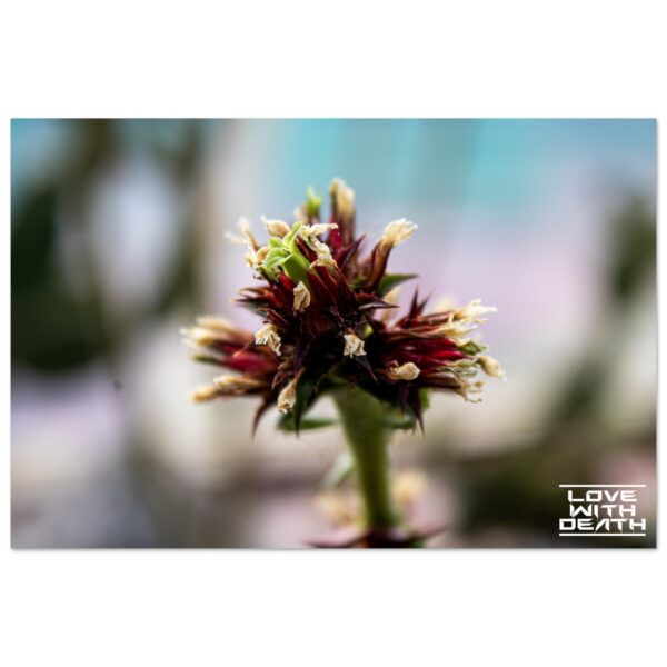 c0929c71-5d90-4ca4-87e1-711ae1d86305