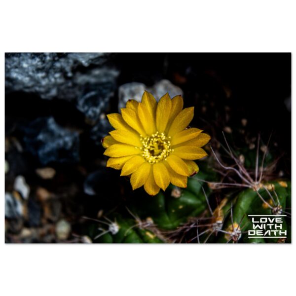 d0168032-2480-467e-8619-af69c4a0ecdb