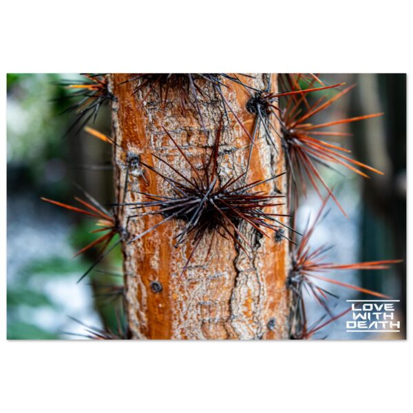 f17a3020-09ff-4b14-83d6-687fe5e7b54f