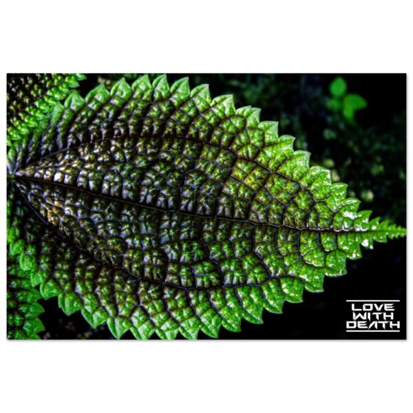 0011fee2-641e-4f00-846a-cbdbb895f99a