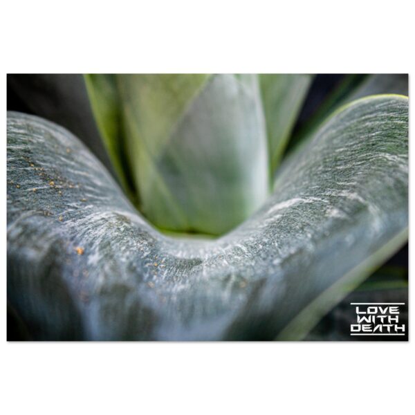 034d5e8e-0663-41a0-bea9-bc3d818f9f06