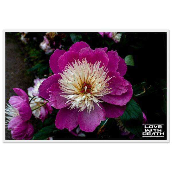 0783ed44-cc17-40f1-aacb-f867cbc02362