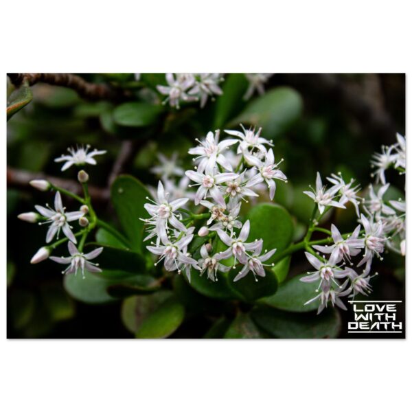 09d6021e-fed5-41fa-960b-2dcdd1efe998