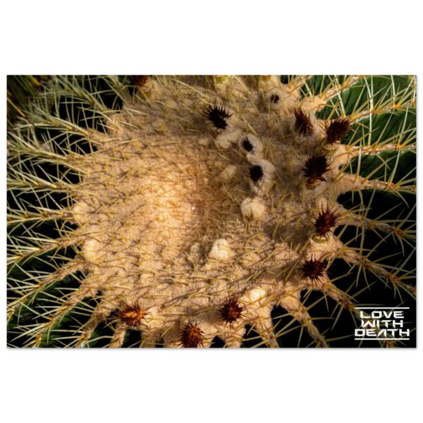 0aec761f-3824-42ac-88dd-cd9edbfab818