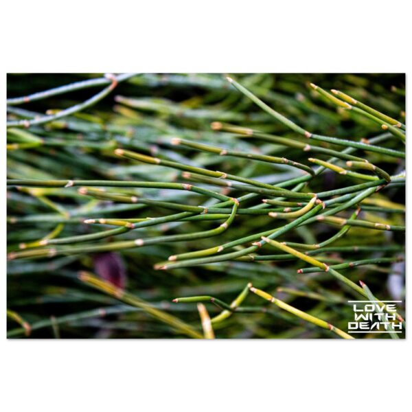 0eb7f483-590a-4e50-8e38-413f9223ce7b