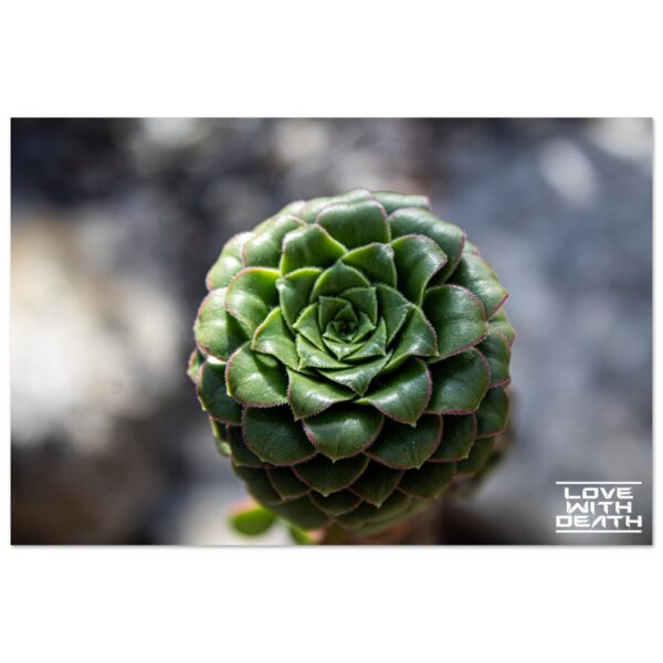 10cc3bef-c03c-4b9c-becd-20e6f6083655