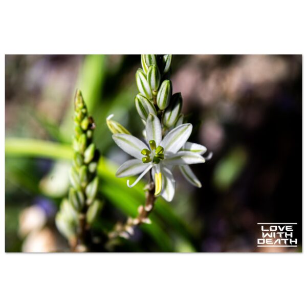 11d62832-08bc-4f88-8fbb-8eab65ad2682