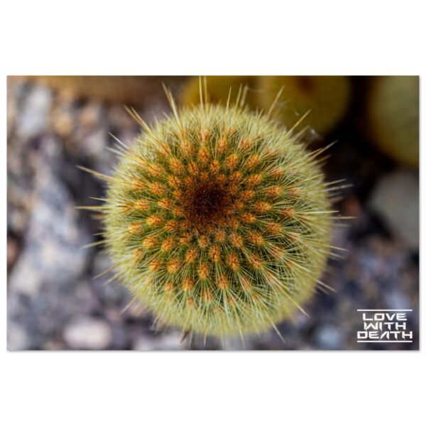 1ff3dc4f-3d69-490c-bcff-474eeedd8c4b