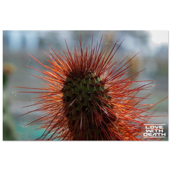 20f11f96-b402-493d-ae8a-c466a29f747b