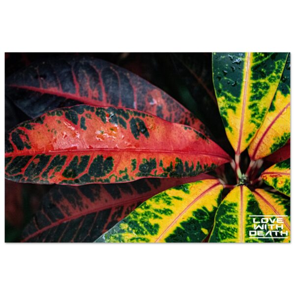 25aa1143-cbfa-4a21-8c7e-c847387d9e10