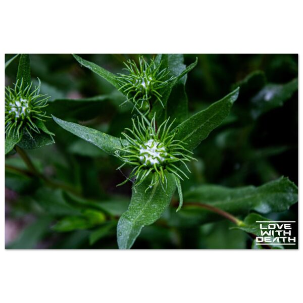 2bf289b9-215b-4393-8cce-e4c88aa1e893