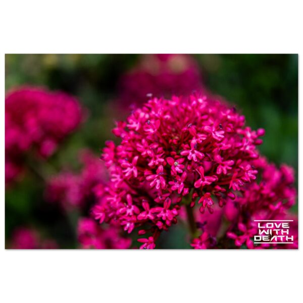 2d7b4748-ea15-48ed-9ebb-5c5bc493428a