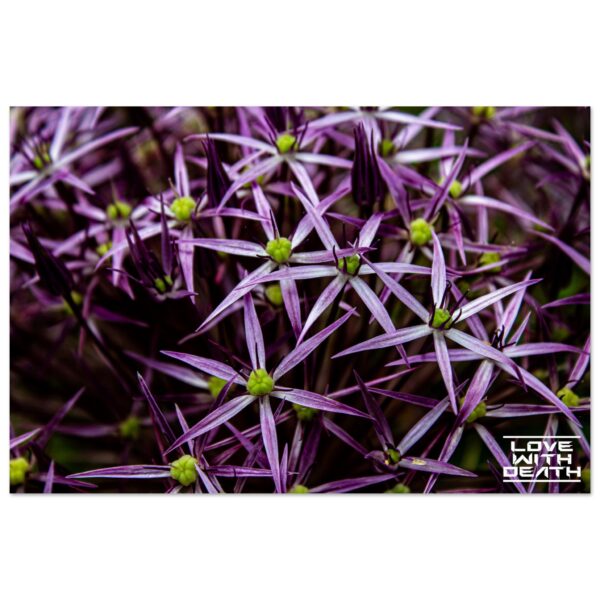 33e2873c-29fd-497f-a653-0f84909ea9f4