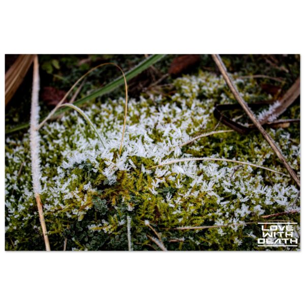 35a6a9af-e65c-46b6-935d-416340940a45