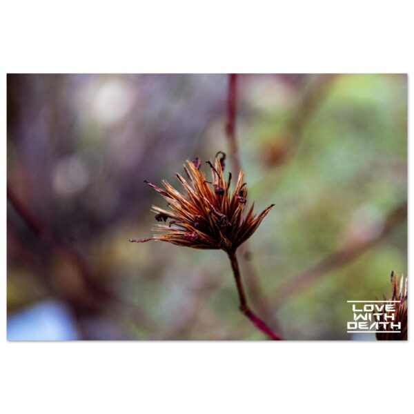 37570064-3db8-4ea4-add8-4aede3cf6b9d