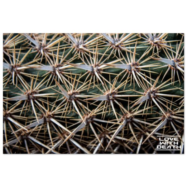 377963c1-b9eb-4050-ae75-9dfeb5d5573d