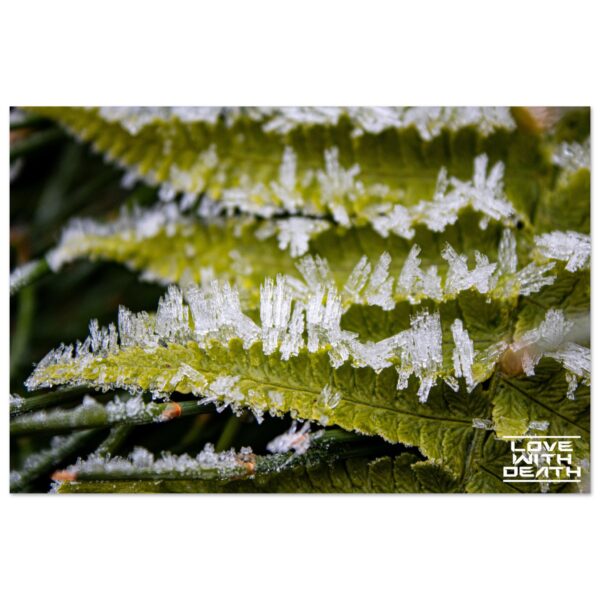 3cc0420c-ddc3-4881-84c1-a157f217eedb