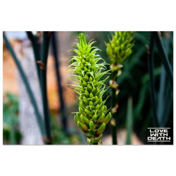 405f65d7-6cf0-40f3-abda-a56bda15a170