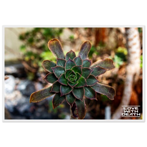 407ec57f-c429-4971-a7df-20f528532f46