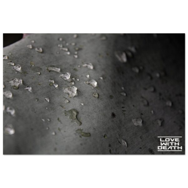 4407db61-baf7-4ec8-97ff-de08a3bc5c7d