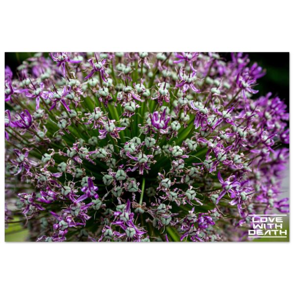 521c92b7-7e0a-4a88-8a5d-76fb6fbb377f