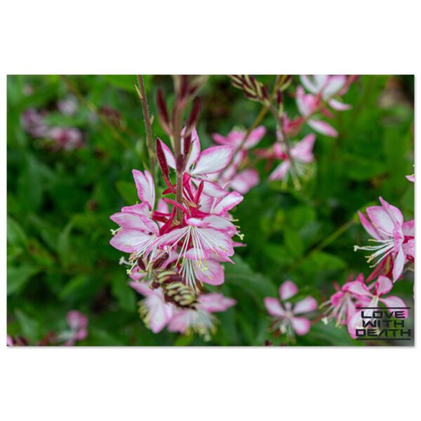 5848c187-91a3-40cd-9eb9-66196c8d941a