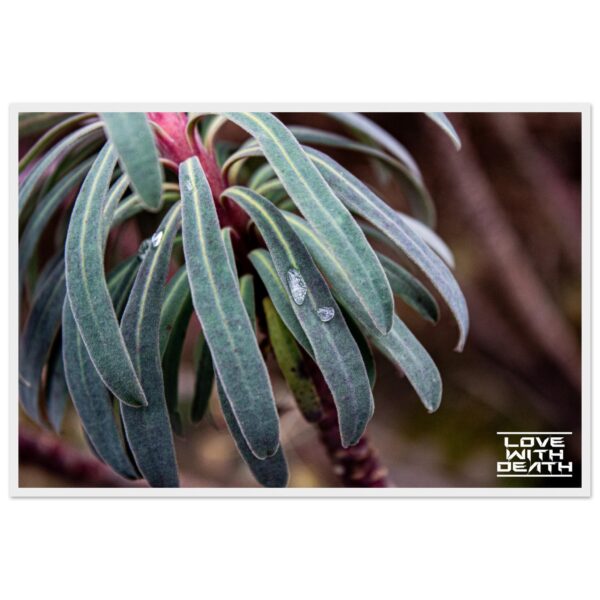 5b6f5e4a-47a1-47fb-bba3-933ef9206b3b