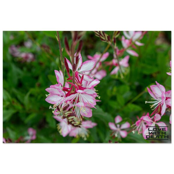 5bdea931-06ea-4db0-b83b-f58ccf284ab7