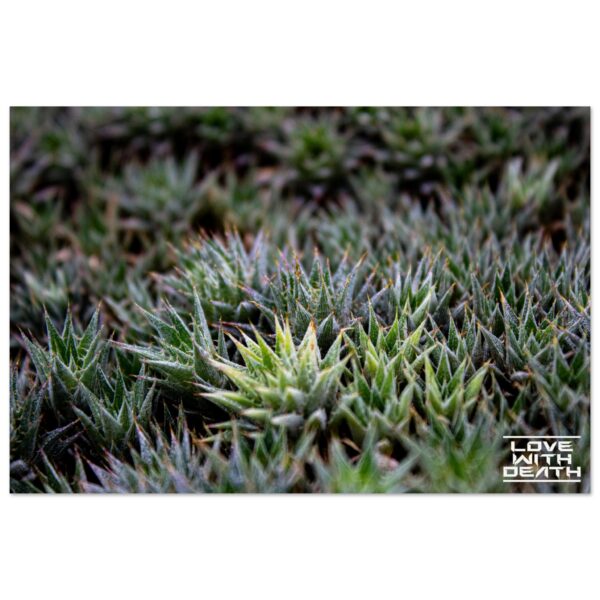 5e816de3-5643-458f-9410-22bfb01ab967