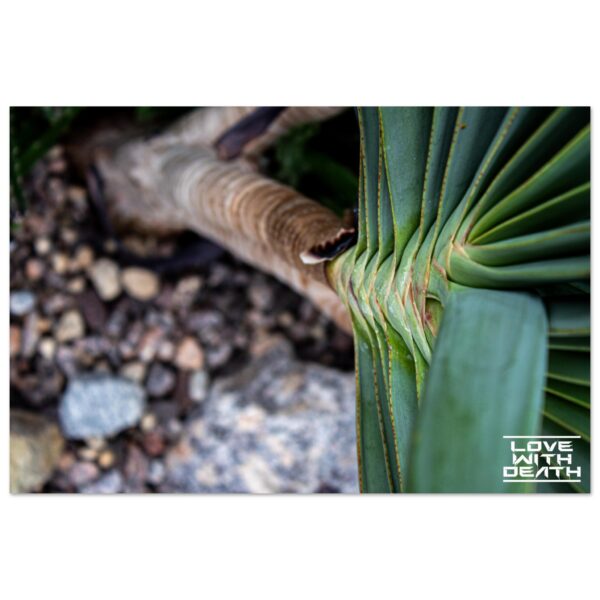 5fc3346b-5958-49a0-b55c-76dd290921b3