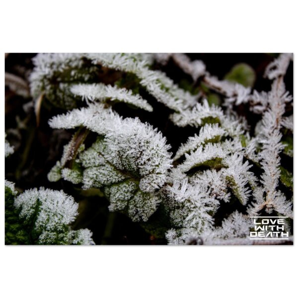 6179209b-b9e2-4cdf-898d-decc98ccdc26