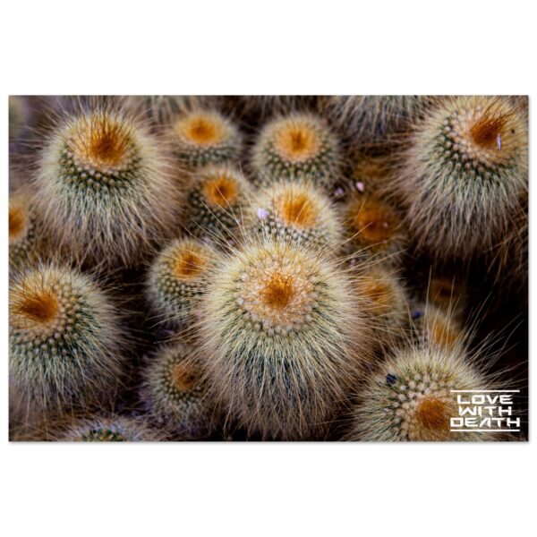 67ce0890-2750-4342-9051-4764e34e6b4d