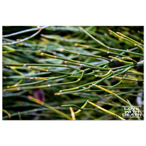 696dc154-4701-441c-bdd5-29155e372a6b