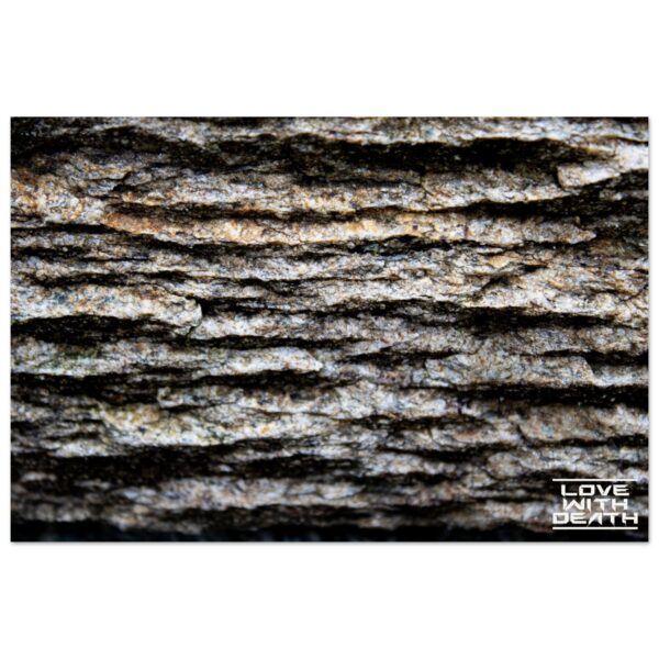 6d052bdc-d4c4-48bb-a94b-17591ab5f326