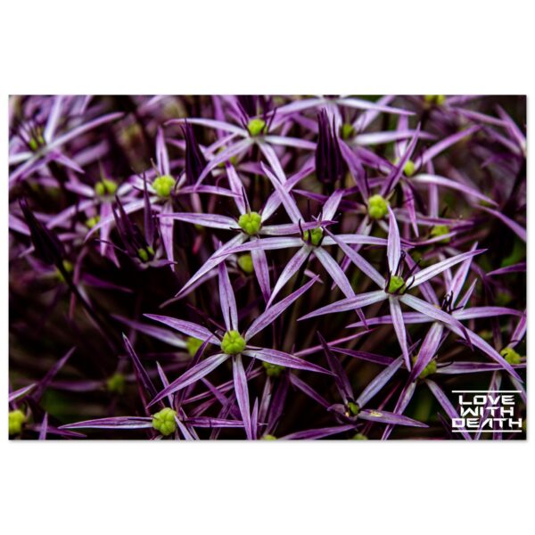 6e6ae595-5fd1-45f2-8674-7b4d7ca9eac0