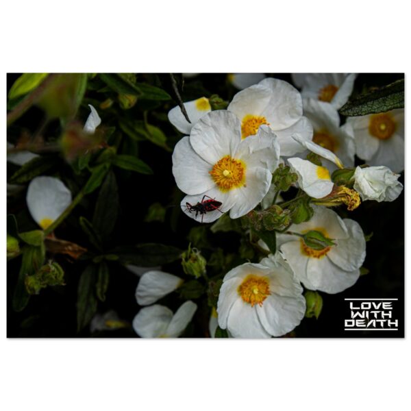 777c1dc6-02ed-4cdf-99a3-7d6fd8aa5299