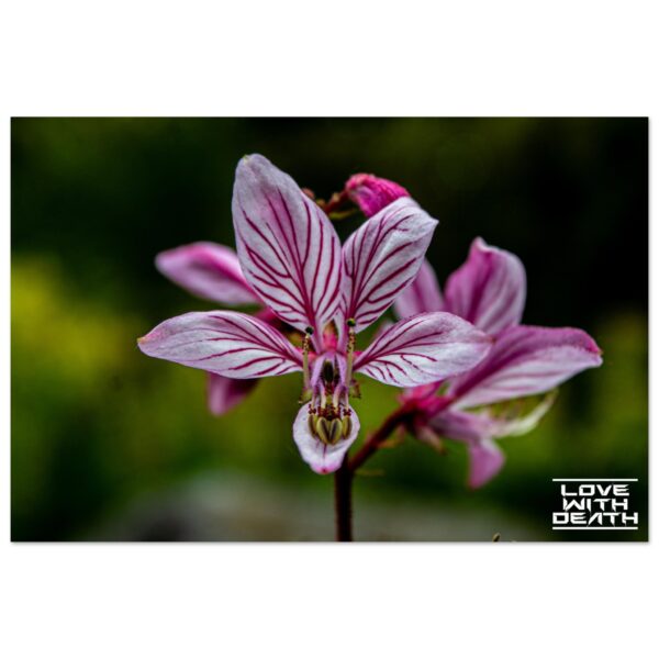 79db8de2-672c-416e-b691-36d98c5bf50b