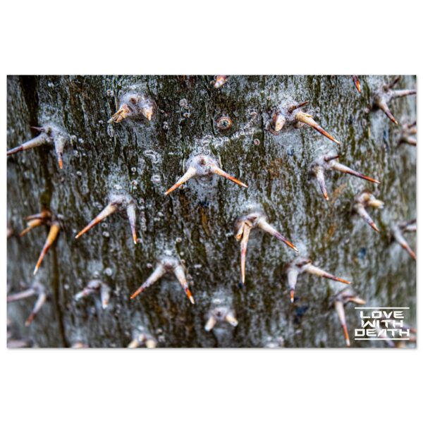 7d6c55d8-a0d3-46a0-a321-75e0ee0213d4