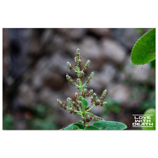 7e1101f8-1890-4d77-a113-947f587cd3b6