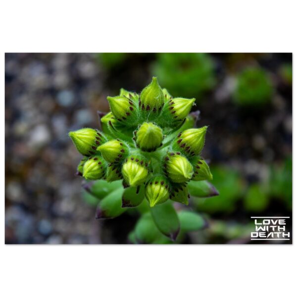 7e461dff-cb5f-4363-ab50-3b9b86928c82