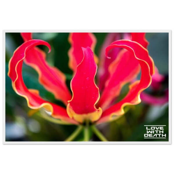 8079014d-a944-41fa-b183-03a028196781