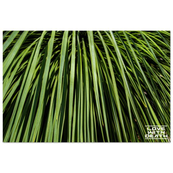 808d05eb-0eb0-4c72-a927-11442db838ea