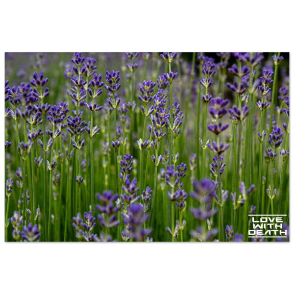 84f3d78d-2257-4546-924d-fc3759853f90